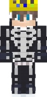 Skin no catálogo de artioli