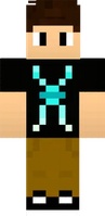 Skin no catálogo de aranha master
